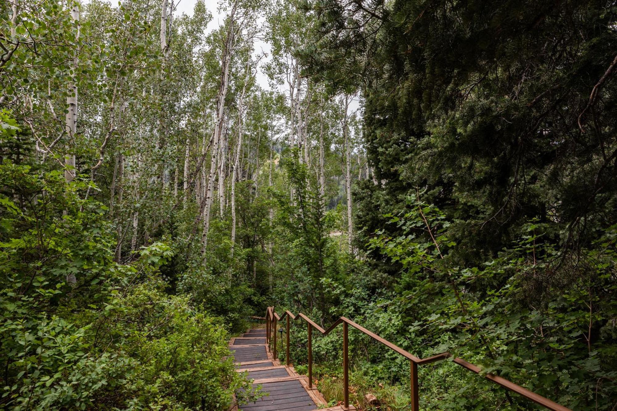 Deer Valley Little Belle Ultimate Ski Getaway, Sleeps 14, Luxury Design, Private Hot Tub, Park City Kültér fotó
